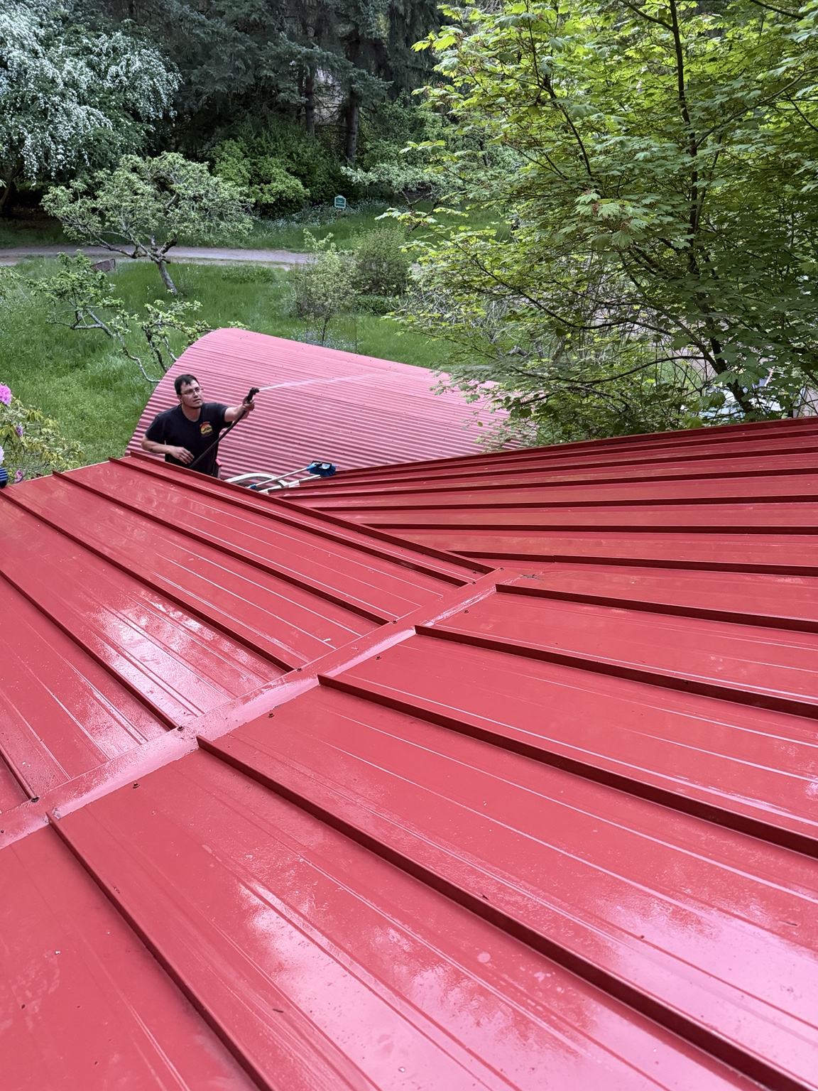 Roof cleaning and metal roof cleaning service