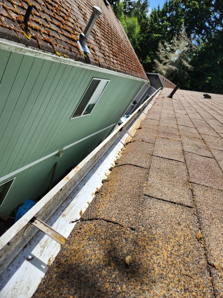 Gutter and downspout cleaning