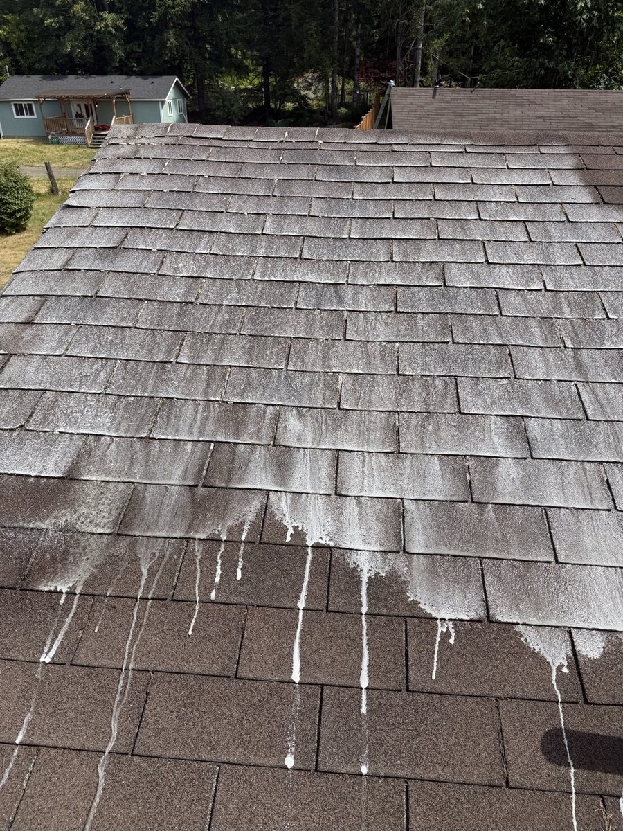Moss removal and treatment on roof